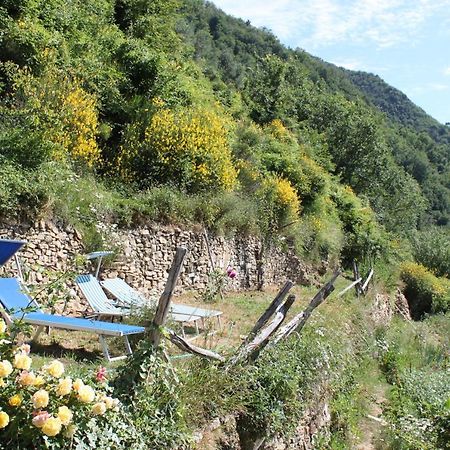 Rural House Villa Vignai Екстериор снимка