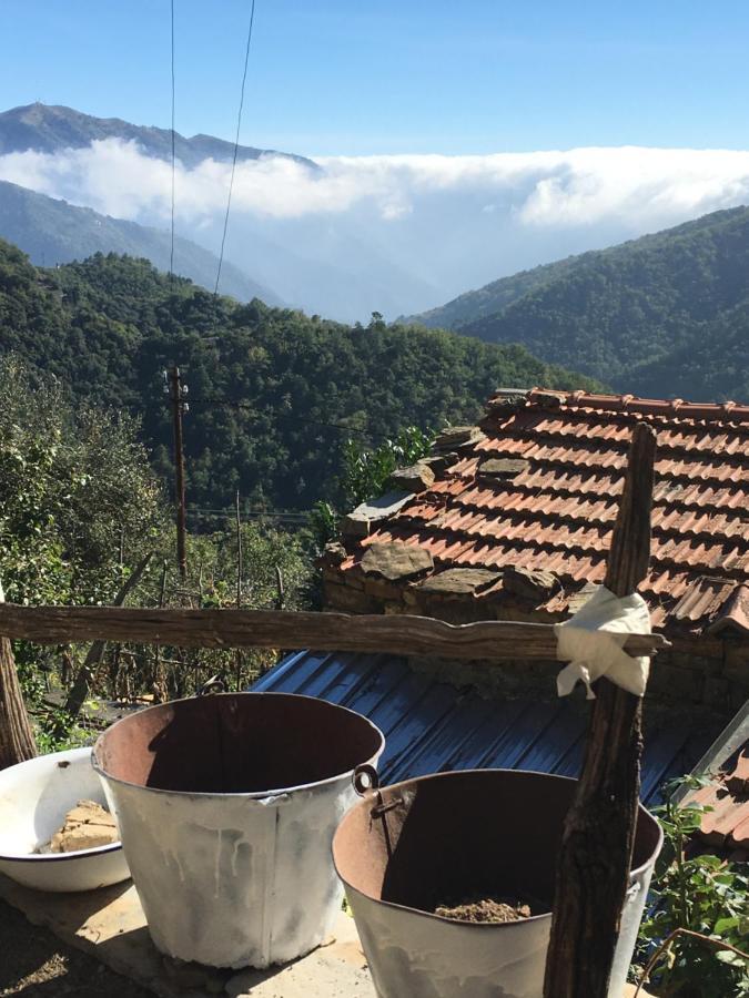 Rural House Villa Vignai Екстериор снимка