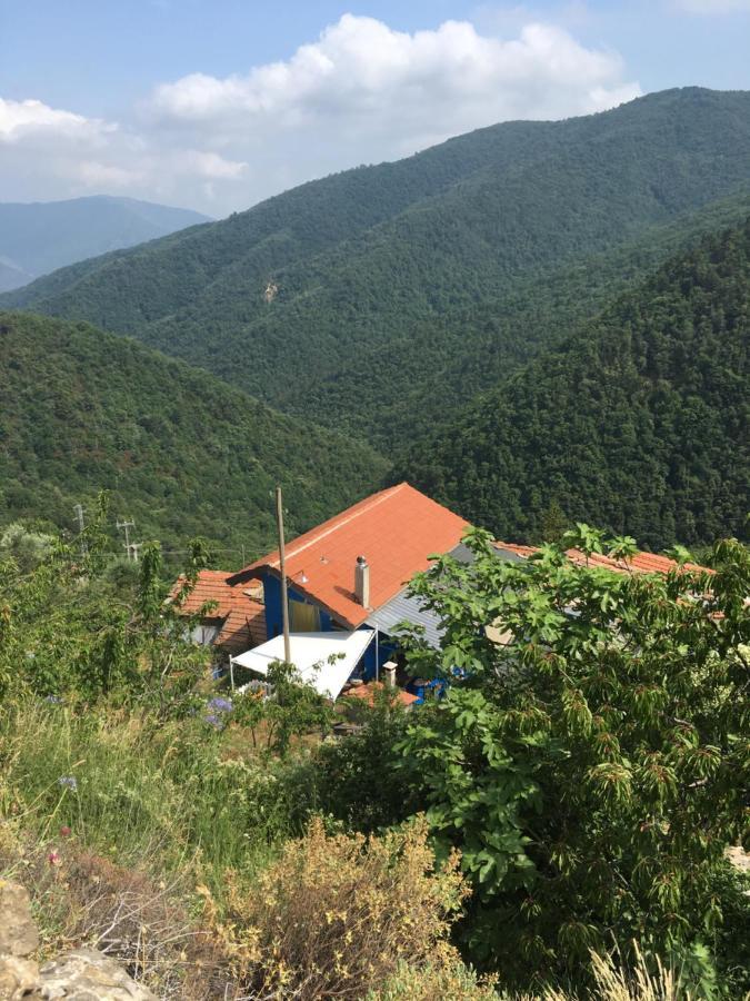 Rural House Villa Vignai Екстериор снимка